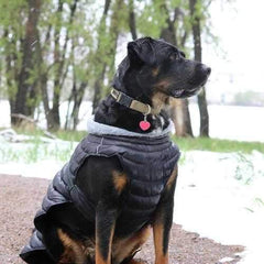 Alpine Extreme Weather Puffer Dog Coat by Doggie Design - Black