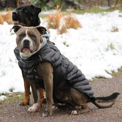 Alpine Extreme Weather Puffer Dog Coat by Doggie Design - Black