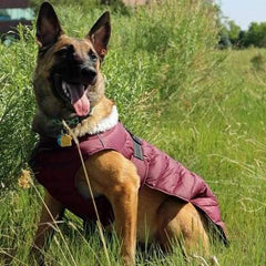 Alpine Extreme Weather Puffer Dog Coat by Doggie Design - Burgundy