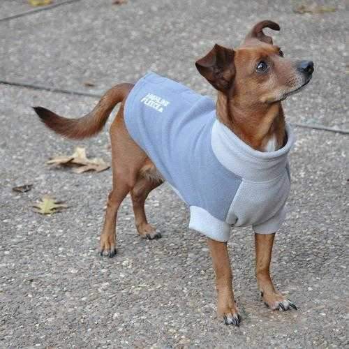 Highline Fleece Dog Coat by Doggie Design - Two Tone Gray