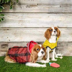 Reversible Elasto-Fit Dog Raincoat - Scarlet Red
