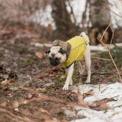 Reversible Elasto-Fit Dog Raincoat - Yellow