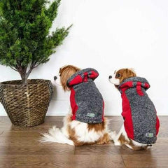 All Year Elasto-Fit Dog Hoodie - Silver Marl