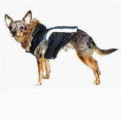 Swiss Alpine Ski Dog Vest by Hip Doggie - Black