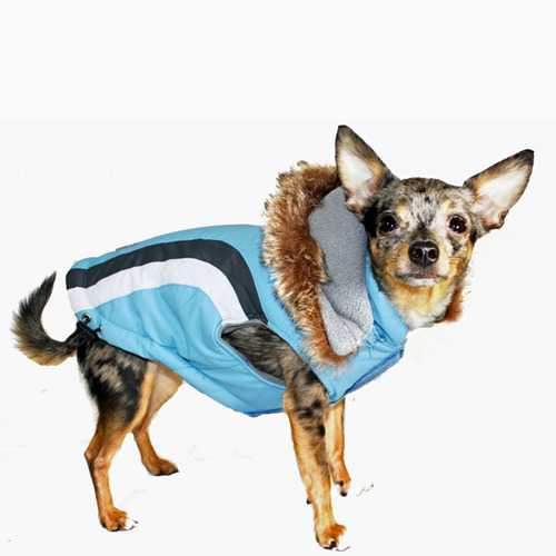 Swiss Alpine Ski Dog Vest by Hip Doggie - Blue