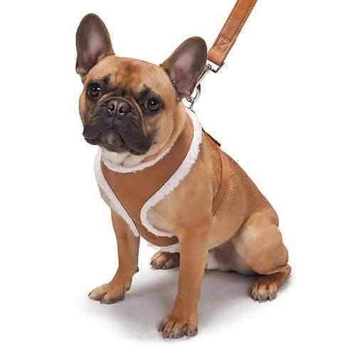 Zack and Zoey Shearling Dog Harness - Chestnut