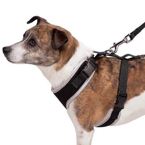 Casual Canine BestFit Xtra Comfort Mesh Dog Harness - Black