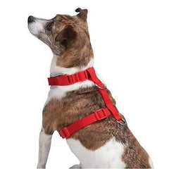 Casual Canine BestFit Xtra Comfort Mesh Dog Harness - Red