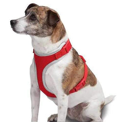 Casual Canine BestFit Xtra Comfort Mesh Dog Harness - Red
