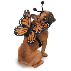 Zack and Zoey Butterfly Glow Wings Dog Harness Costume