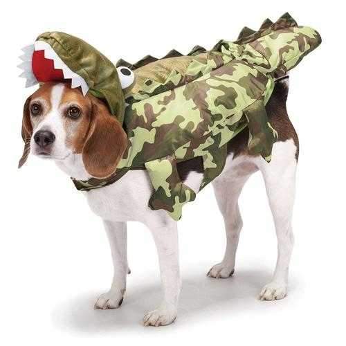 Zack and Zoey Camo Alligator Dog Costume