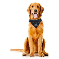 Baltimore Ravens Tie On Dog Bandana