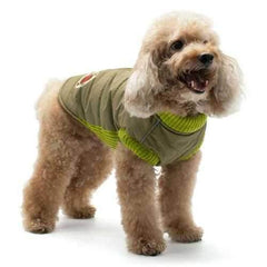 Army Runner Dog Coat by Dogo - Green