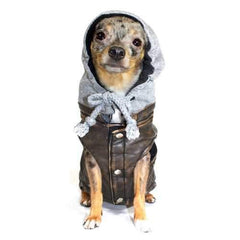 Vintage Bomber Dog Jacket by Hip Doggie - Gray Hood