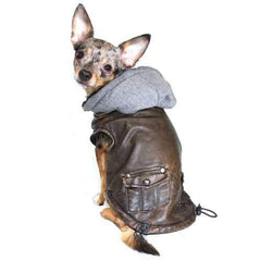 Vintage Bomber Dog Jacket by Hip Doggie - Gray Hood