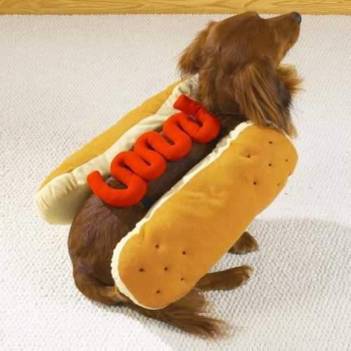 Hot Dog with Ketchup Dog Halloween Costume
