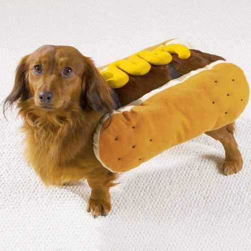 Hot Dog with Mustard Dog Halloween Costume