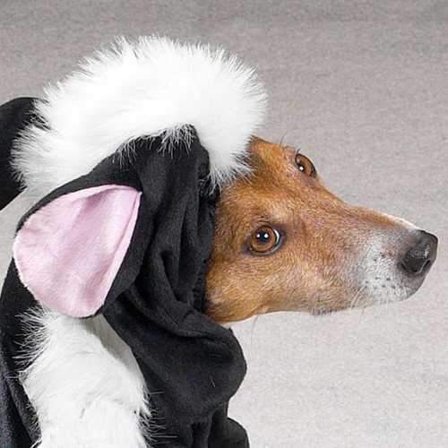 Lil' Stinker Skunk Dog Halloween Costume