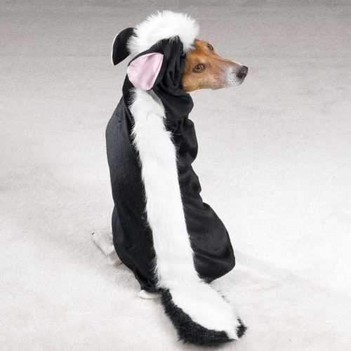 Lil' Stinker Skunk Dog Halloween Costume