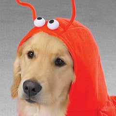 Lobster Dog Halloween Costume by Casual Canine