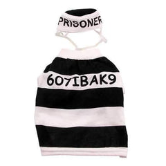 Prisoner Dog Halloween Costume by Casual Canine