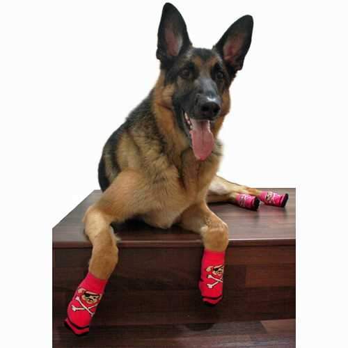 Pirate Girl PAWks Dog Socks