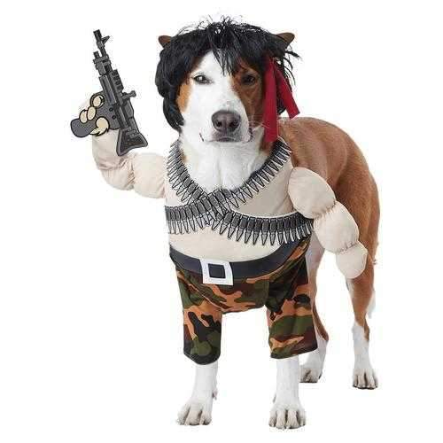 Action Hero Halloween Dog Costume