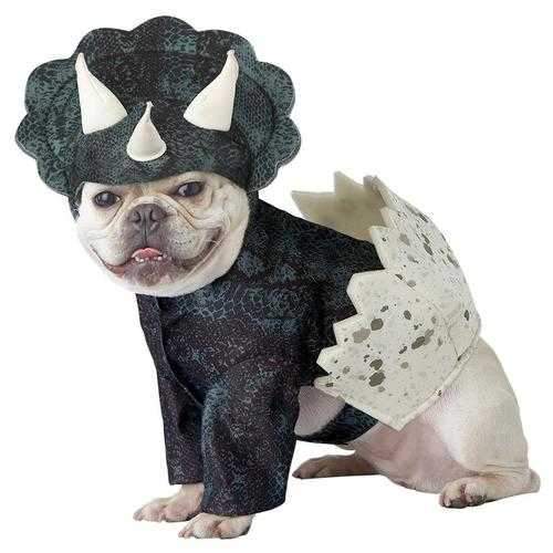 Hatching Triceratops Dino Pup Halloween Dog Costume