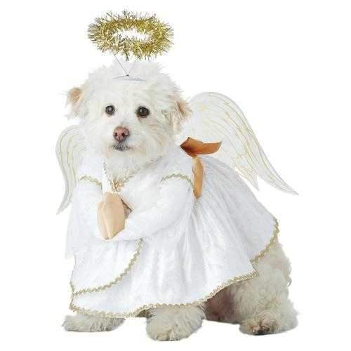 Heavenly Hound Halloween Dog Costume