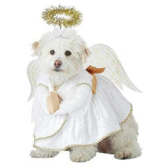 Heavenly Hound Halloween Dog Costume