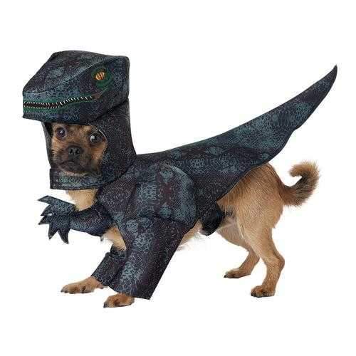 Pupasaurus Rex Halloween Dog Costume