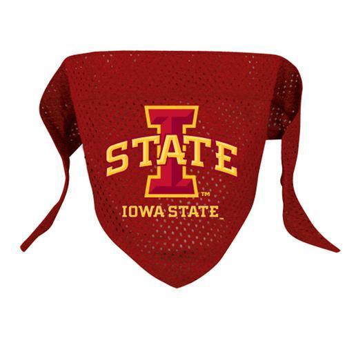 Iowa State Mesh Dog Bandana
