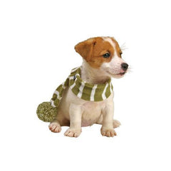 Frosty's Snowflake Dog Scarf - Sage Green