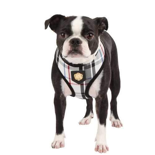 Junior Dog Harness by Puppia - Black
