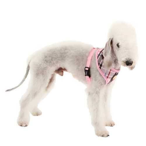Junior Dog Harness by Puppia - Pink