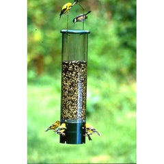 Bouncer Squirrel Proof Bird Feeder