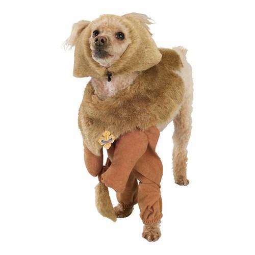 Cowardly Lion Halloween Dog Costume by Rubies