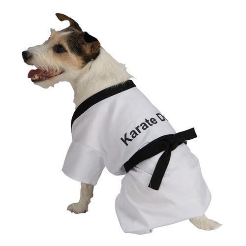 Karate Dog Halloween Costume