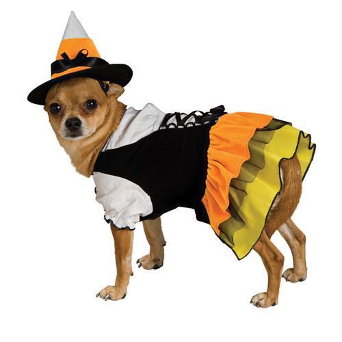 Candy Corn Witch Dog Halloween Costume