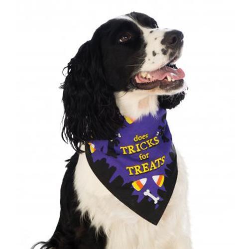 Rubie's Tricks for Treats Halloween Dog Bandana