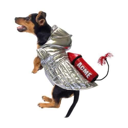 Rocket Space Dog Costume