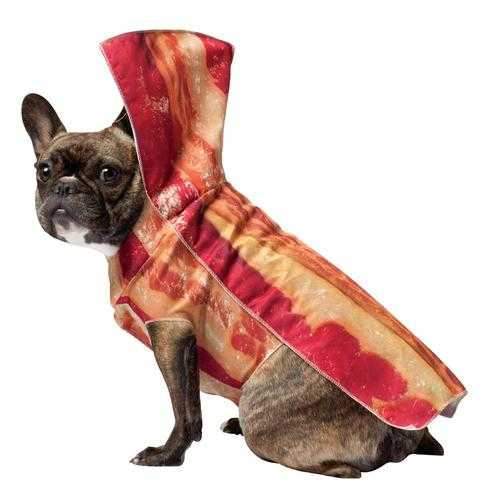 Bacon Dog Costume by Rasta Imposta