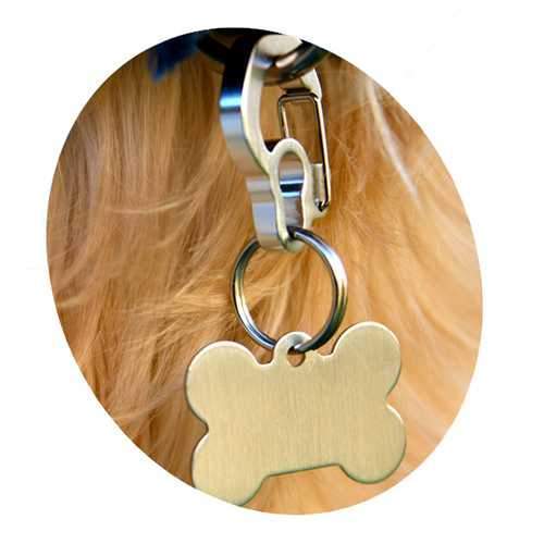 Rubit Dog Tag Clip - Silver Curve