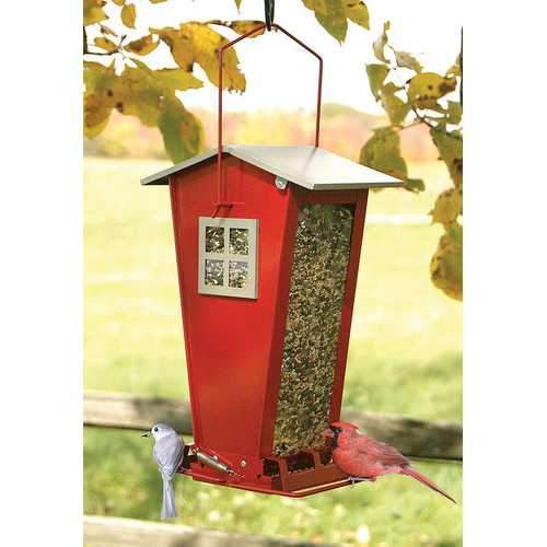 Snack Shack Squirrel Resistant Bird Feeder