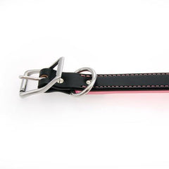 Two-Tone Padded Leather Dog Collar by Auburn Leather - Black and Pink