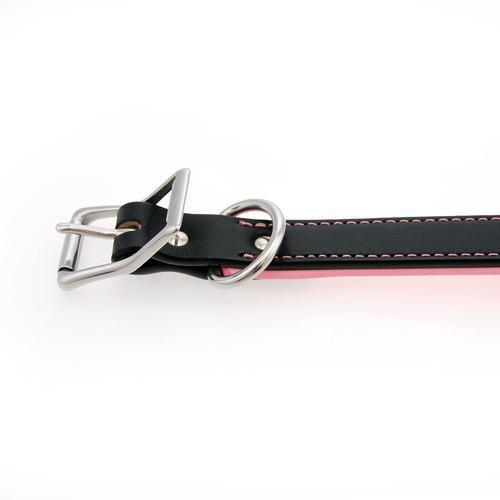 Two-Tone Padded Leather Dog Collar by Auburn Leather - Black and Pink