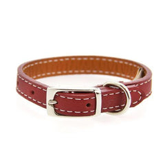 Tuscan Leather Dog Collar by Auburn Leather - Red