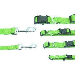 Barking Basics Dog Collar - Green