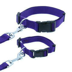 Barking Basics Dog Collar - Purple