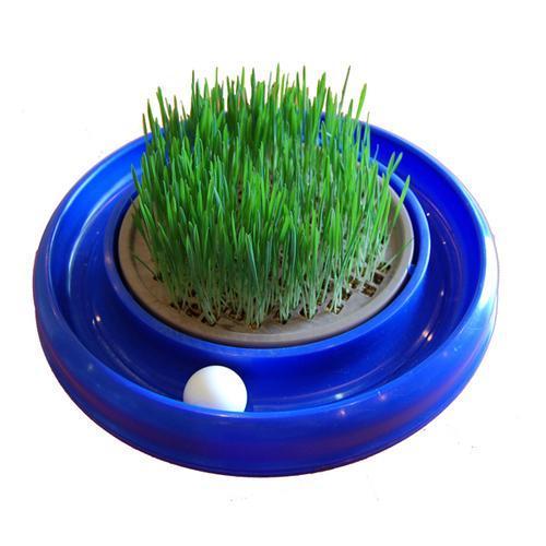 Turbo Scratcher Cat Grass